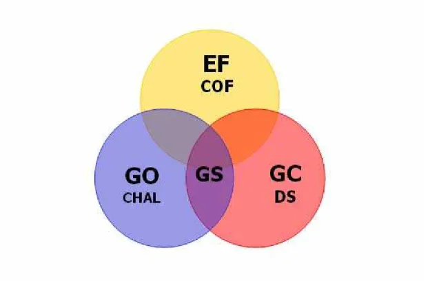 Figura 1- Demonstração do inter relacionamento da Gestão Organicaional (GO) com a Gestão do Conheci- Conheci-mento (GC) nas Empresas Familiares (EF)