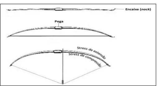 Figura 17 − Partes do arco. 