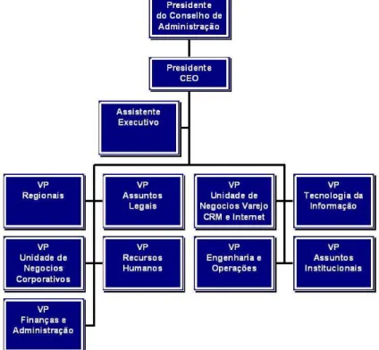 Figura 5 - Organograma executivo  Fonte: GVT (2008) 