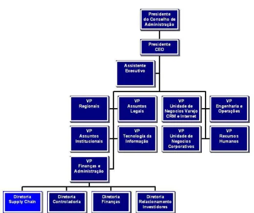 Figura 6 - Organograma da VP Finanças e Administração  Fonte: GVT (2008) 