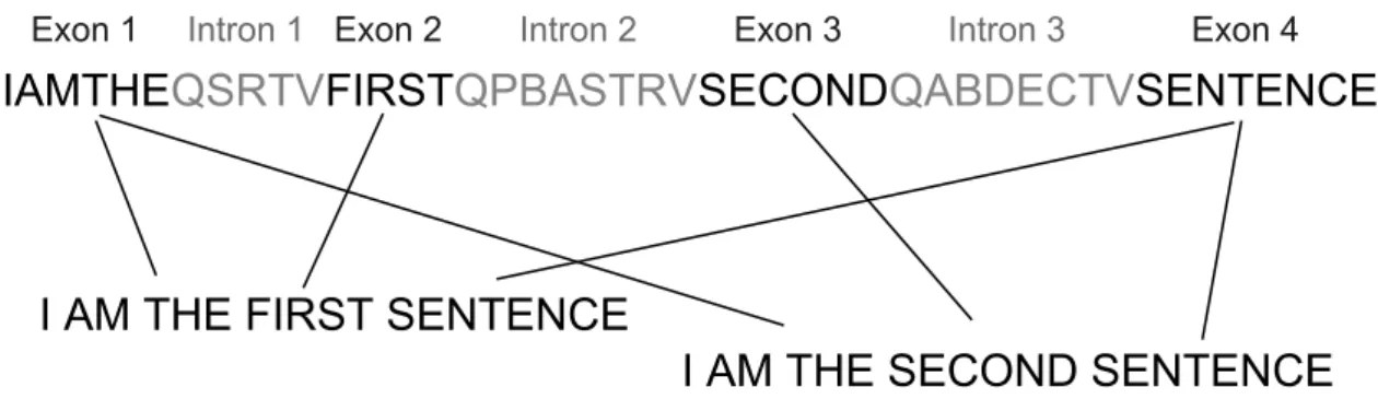 Figure 2.2: Principles of alternative splicing. 