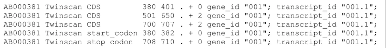 Figure 2.5: GTF file example with tabs replaced with spaces for readability. 