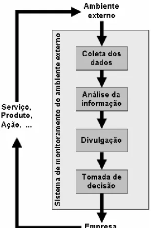 Figura 3: Processo de monitoramento ambiental (GUIMARÃES, 2006) 