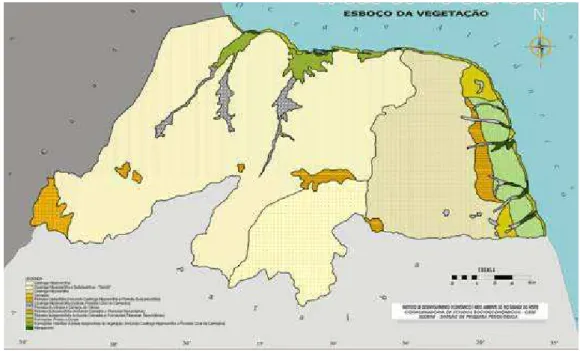 FIGURA 15 – Mapa das formações vegetais no Estado do Rio Grande do Norte. Fonte: IDEMA –  Instituto de Desenvolvimento Econômico e Meio Ambiente do Estado do Rio Grande do Norte