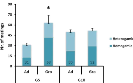 Fig.  3  Number  of  heterogamic  and  homogamic  matings  for  Adraga  and  Groningen   males,  gat  generations  5  and  10