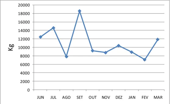 Gráfico 4.1 -  Quantidade de papel gerado nos Ed. Sede I. II e III  