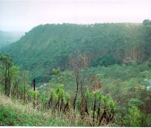 Figura  11:  Parque  Recreativo  do  Gama  (Prainha),  na  Região  Administrativa  do  Gama,  Distrito Federal; Vale do Córrego Alagado, com paredão rochoso e vegetação nativa