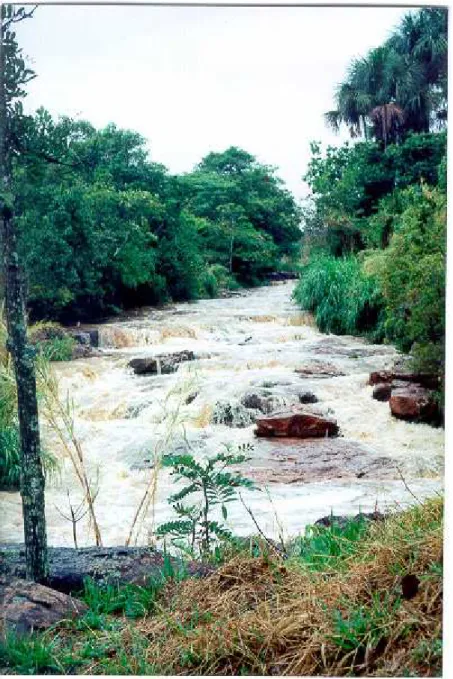 Figura  12:  Trecho  do  Córrego  Alagado,  no  interior  do  Parque  Recreativo  do  Gama  (Prainha), na Região Administrativa do Gama, Distrito Federal