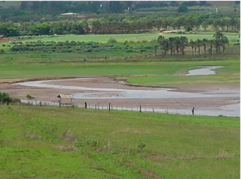 Figura 13 - Assoreamento na foz do Rio das Pedras na  bacia do Lago Descoberto 