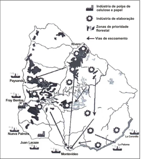 Figura 2 - Cenário Futuro (2020) do Setor Florestal Uruguaio  Fonte: &lt;http://forestalweb.com/uruguay_forestal.htm&gt; 
