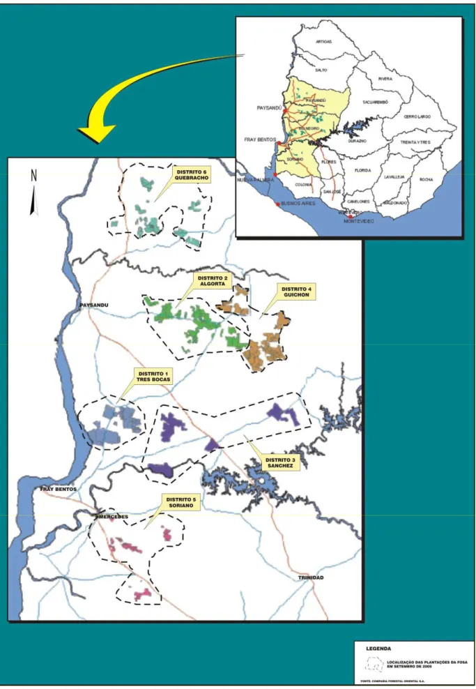 Figura 4 – Localização das Plantações da Companhia Forestal Oriental – Setembro-2005  Fonte: Companhia Forestal Oriental 