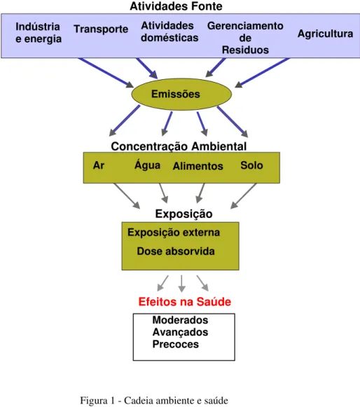 Figura 1 - Cadeia ambiente e saúde                                                                        Fonte:  CORVALAN, 1996