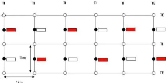 Figura 8 – Esquema da área amostral, com suas trilhas internas (TI) e externas (TE) e disposição das  parcelas (retângulos brancos e vermelhos)