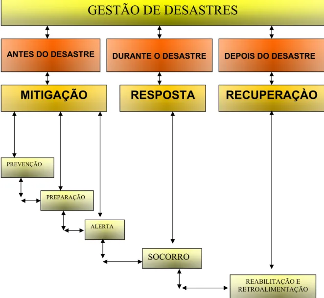 Figura 1 - Ciclo de Desastres. 