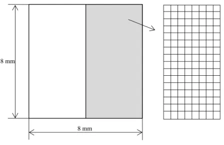 Figure 5.1: The geometry and mesh of the plane strain compression test.