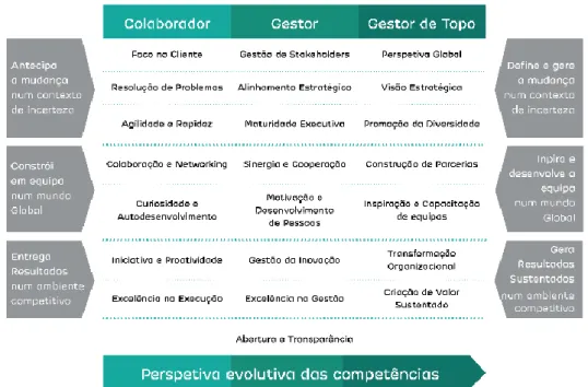 Figura 6 - Modelo de competências ADN do Grupo XY, em Portugal, por perfil funcional 