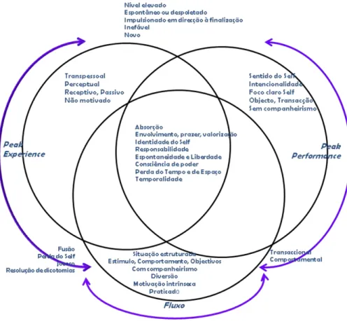 Figura 3. Topologia comparativa da Peak Experience, Peak Performance e Fluxo 