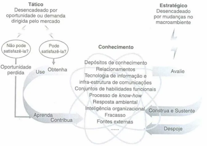 Figura 7: Modelo do diagnóstico de gestão do conhecimento – DGC  Fonte: Bukowitz e Williams, 2002, p.24 