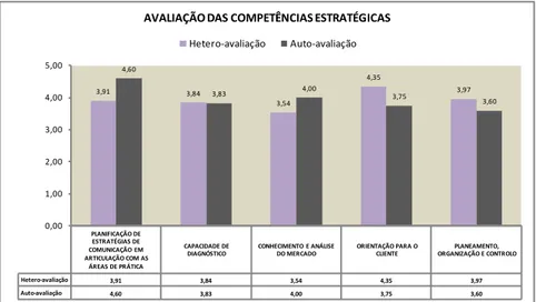 Figura 14 - Gráfico da Avaliação das Competências Estratégicas 