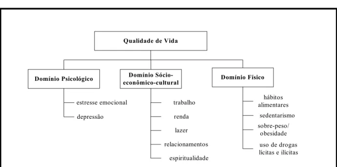 Figura 2.2 – Modelo teórico de qualidade de vida 