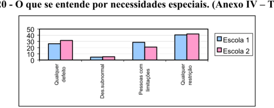 Gráfico 20 - O que se entende por necessidades especiais. (Anexo IV – Tabela 28) 