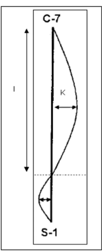 Figura 8. Medida do Índice de Cifose (IC). 