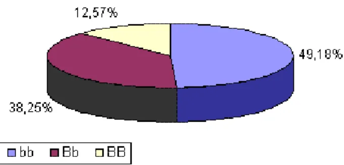 Figura 07. Distribuição dos genótipos observada para o  polimorfismo BsmI no gene VDR