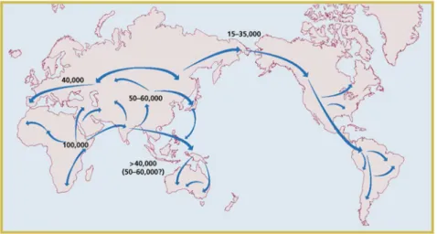Figura 02: Rotas de migração do homem moderno. 