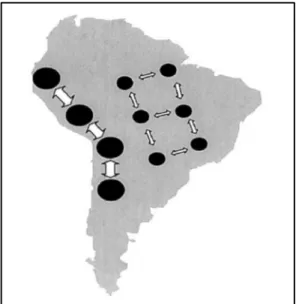 Figura 03: Diagrama das forças evolutivas moldando  a estrutura genética de variabilidade do cromossomo Y  na América do Sul