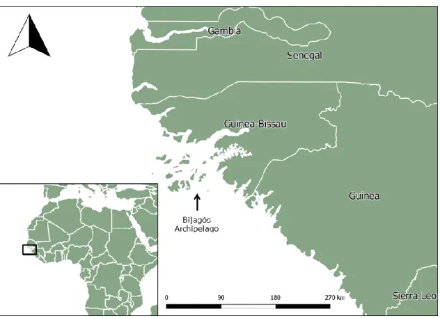 Figure 3. Location of the Republic of Guinea-Bissau in West Africa. The Bijagós archipelago is highlighted by an arrow