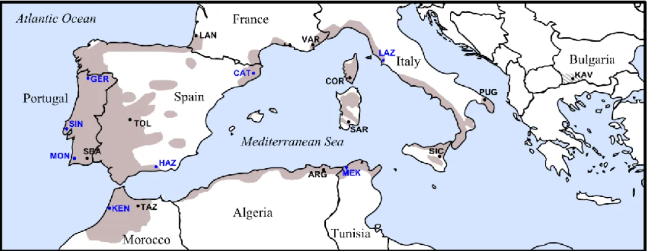 Figure 2.1. Cork oak (Q. suber) geographical distribution map. Full gray represents natural distribution; 