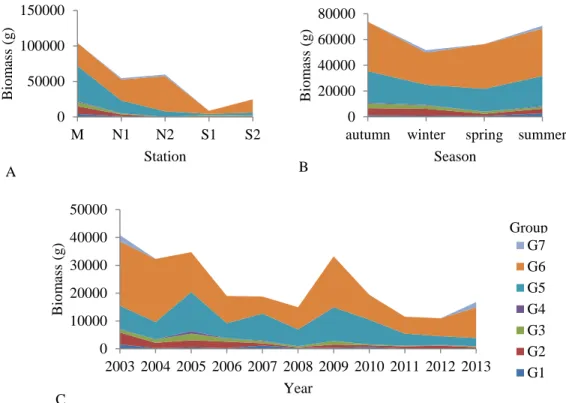 Figure 2.8 – Variation of fish functional groups (quantified by the sum of cumulative biomass of a group in all samples) in  the Mondego estuary