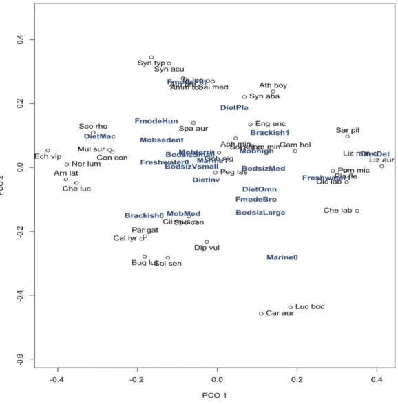 Figure 2.11 – Principal Coordinates Analysis comparing the fish assemblage of the Mondego estuary based on five traits: 