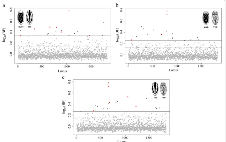 Fig. 1 Bayes factor for each SNP in each pairwise comparison in single-SNP association tests