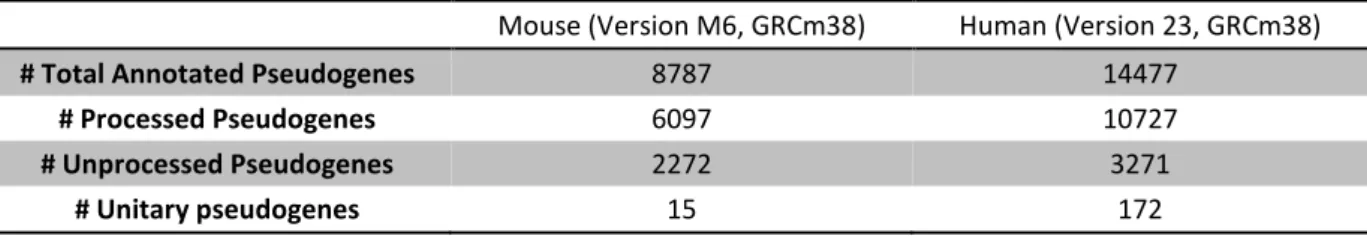 Table  1.1.:  GENCODE  project  annotated  pseudogenes  summarization  for  mouse  and  human  genomes