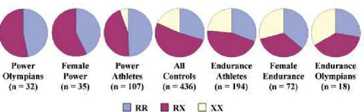 Figura 2. Freqüência dos 3 genótipos do ACTN3 em controles e atletas de elite. 