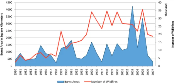 Fig. 1. Evolution of burnt area and number of wildfires in Portugal from 1980 to 2007.