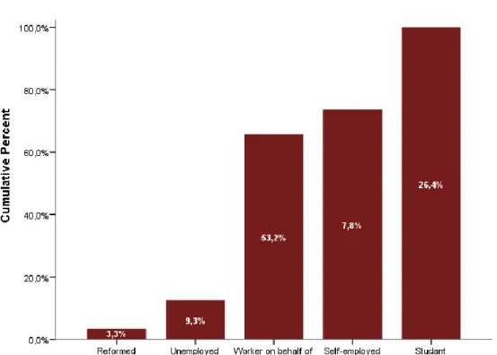 Figure 9: Distribution of the sample by occupation (%) 