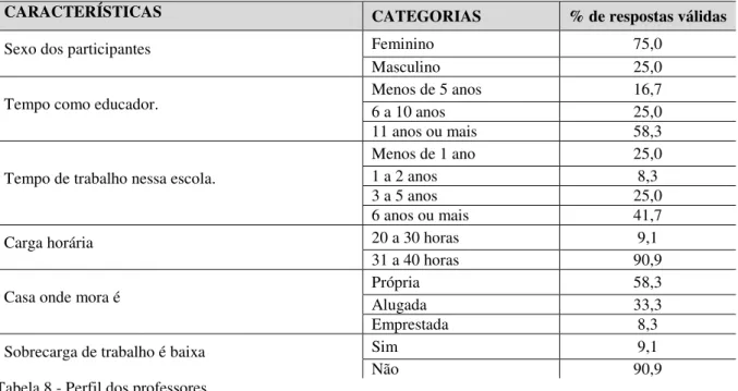 Tabela 8 - Perfil dos professores  Fonte: Pesquisa de Campo 