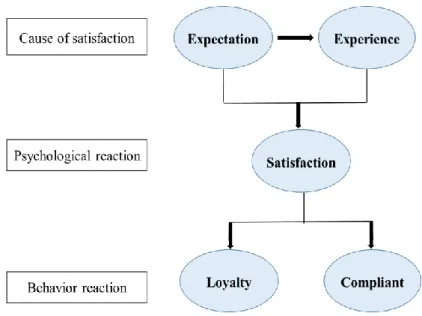 Figure 3-2 Patient Satisfaction Psychological Process 