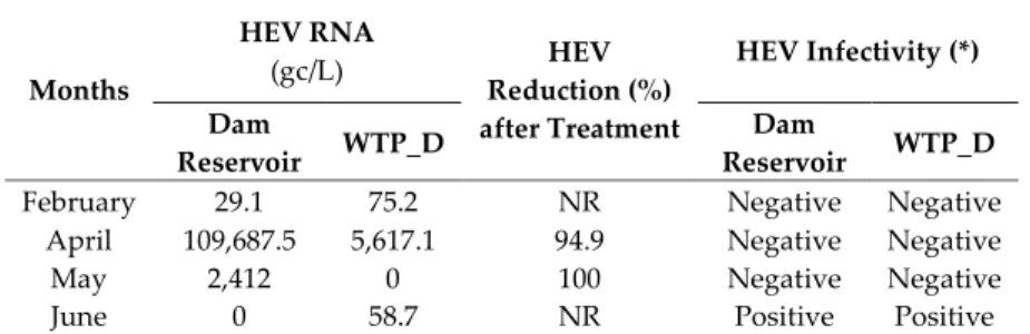 Table  4.  Evaluation  of  related  concentrated  water  samples  (dam  reservoir  and  WTP_D)  for  the  presence of HEV RNA and infectious particles