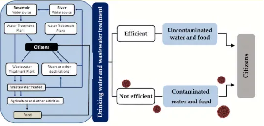 Figure 1. Schematic representation of water collection and distribution networks and their influence  on human health