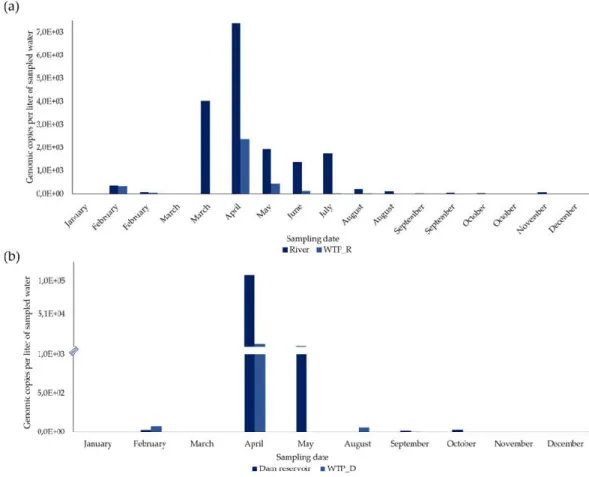 Figure  2.  Variation  in  the  concentration  of  hepatitis  E  virus  (HEV)  RNA  detected  in  concentrated  water sampled in four sampling sites during 2019