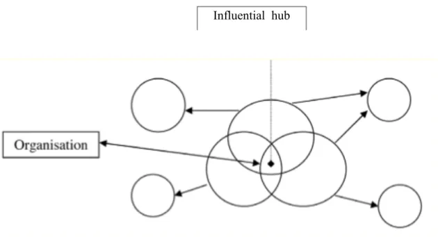 Figure 4: The Central of Influencer in the Networks (from Maunier, 2008) 