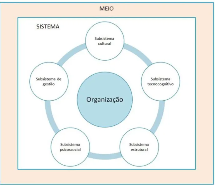 Figura 3 – Sistema Organizacional 