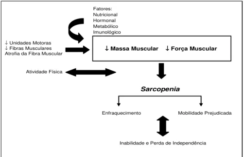 FIGURA 4: Influência de fatores que levam ao declínio da massa e força  muscular associada com a idade, bem como seu impacto na inabilidade  e perda de independência