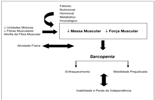 FIGURA 2: Fatores relacionados ao declínio da massa e força muscular  associada com a idade