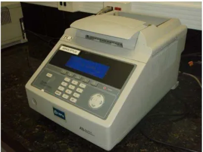 FIGURA 10: Termociclador da marca GeneAmp PCR System  9700 (Applied Biosystems, Foster City, CA, EUA)
