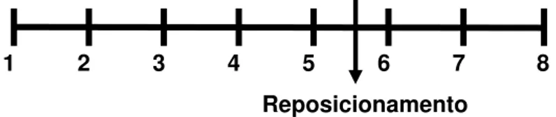 Figura 1. Protocolo de medidas. 