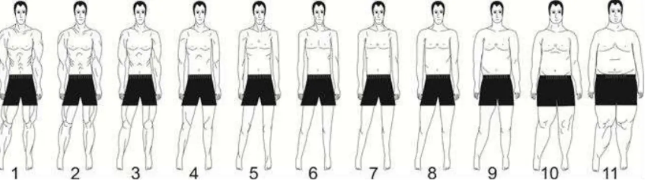 Figura 2 - Imagens corporais que compõem a escala de silhuetas masculina (SOUSA, 2011)